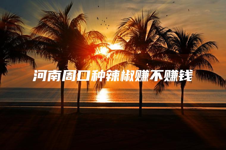 河南周口种辣椒赚不赚钱