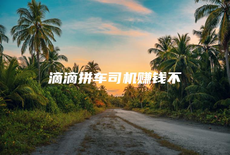 滴滴拼车司机赚钱不