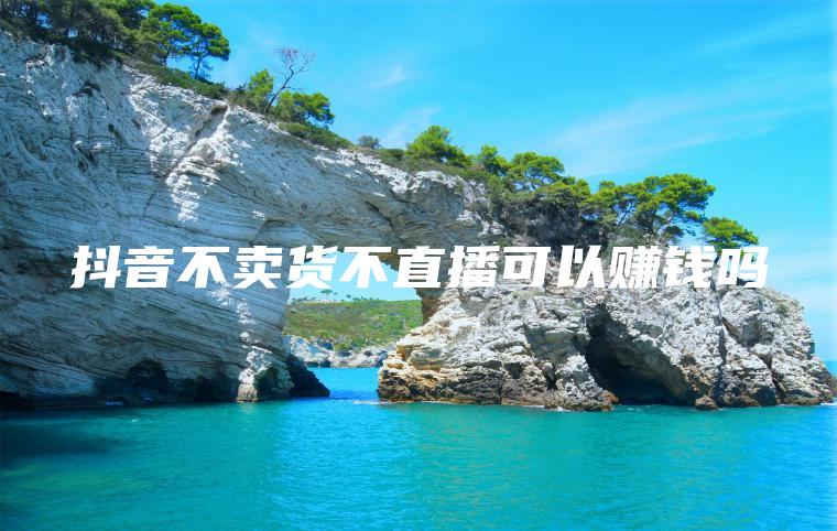抖音不卖货不直播可以赚钱吗