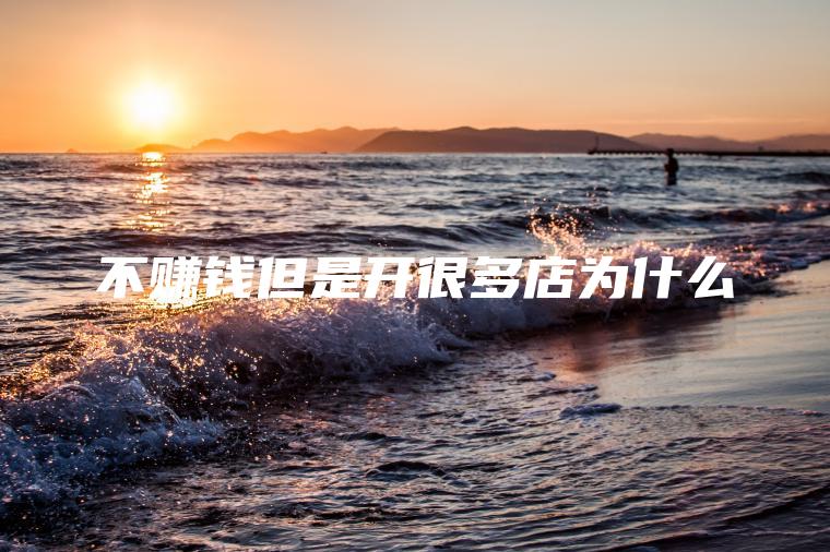 不赚钱但是开很多店为什么