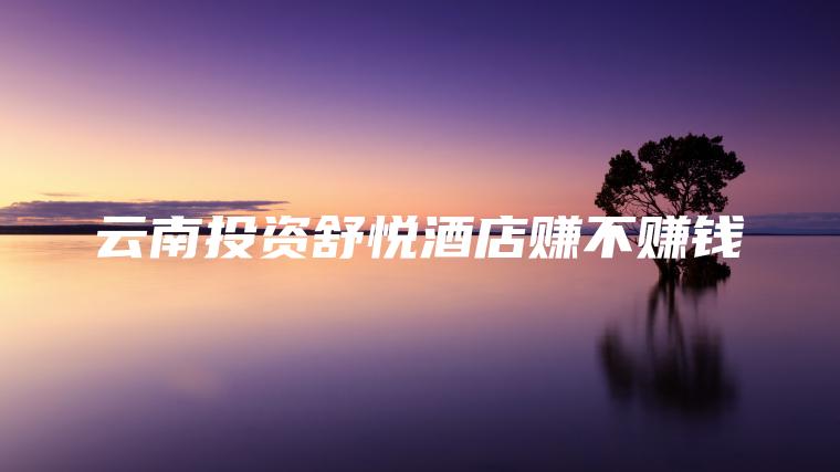 云南投资舒悦酒店赚不赚钱