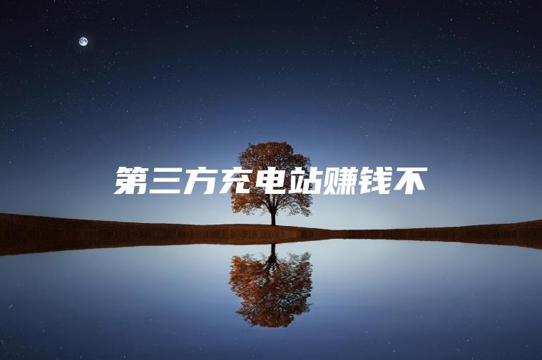 第三方充电站赚钱不