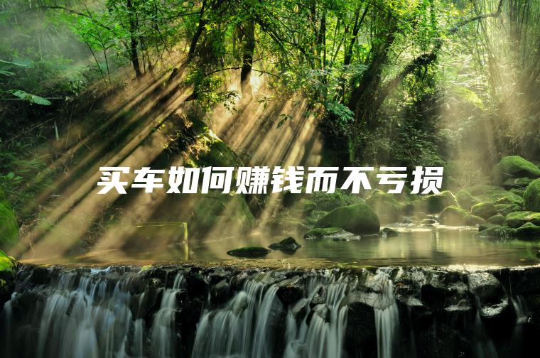 买车如何赚钱而不亏损