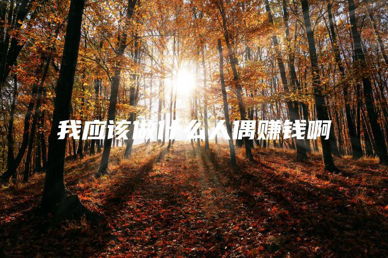 我应该做什么人偶赚钱啊