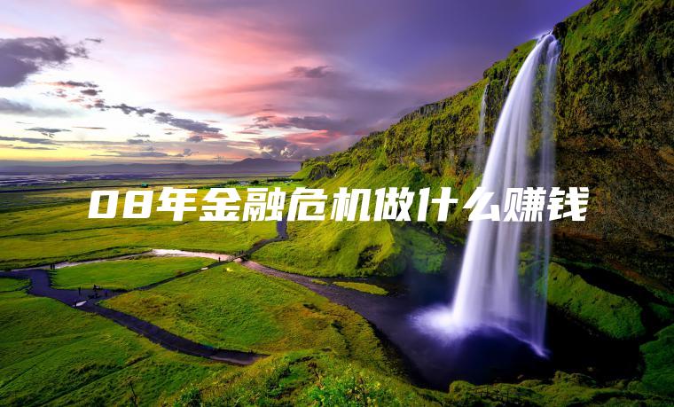 08年金融危机做什么赚钱