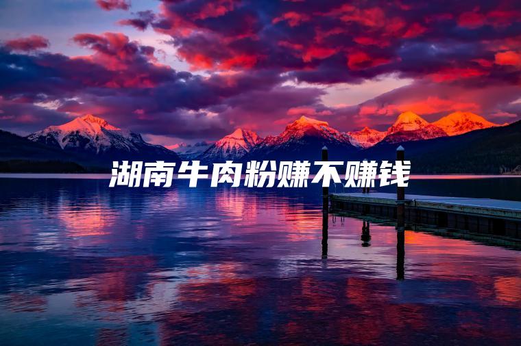 湖南牛肉粉赚不赚钱