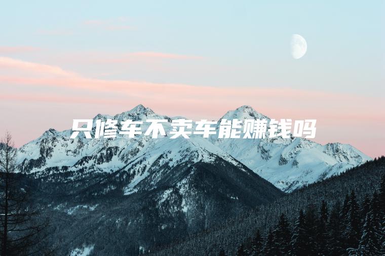 只修车不卖车能赚钱吗