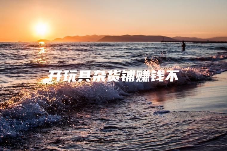 开玩具杂货铺赚钱不