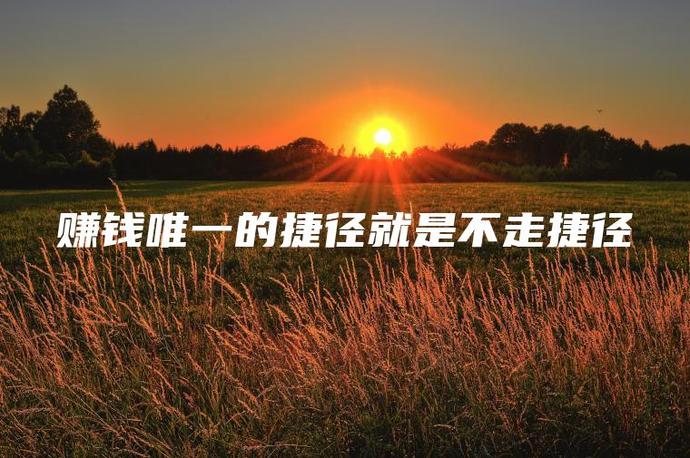赚钱唯一的捷径就是不走捷径