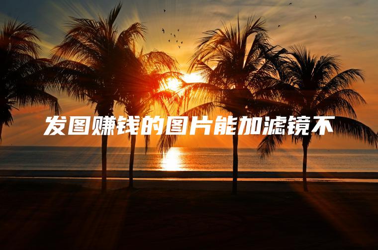 发图赚钱的图片能加滤镜不