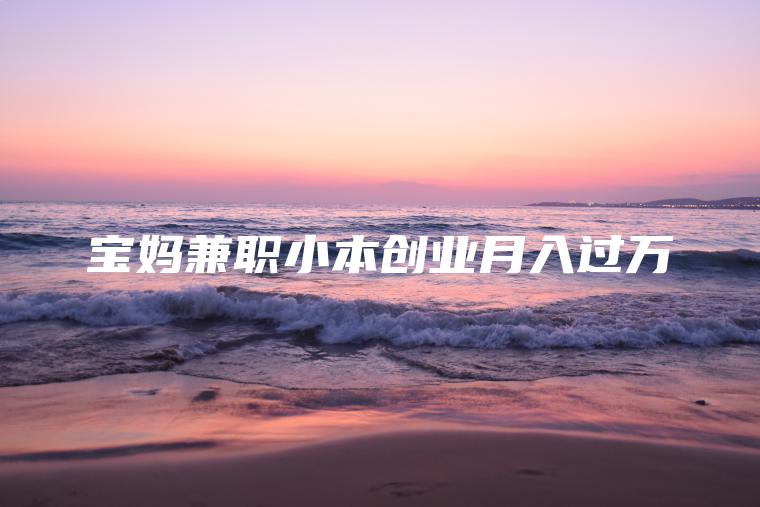 宝妈**小本创业月入过万