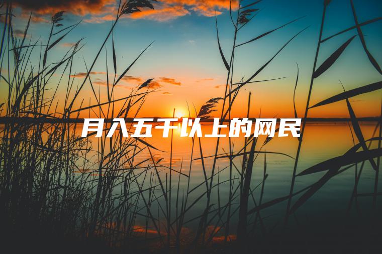 月入五千以上的网民