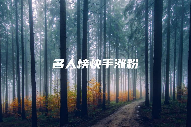 名人榜快手涨什么粉