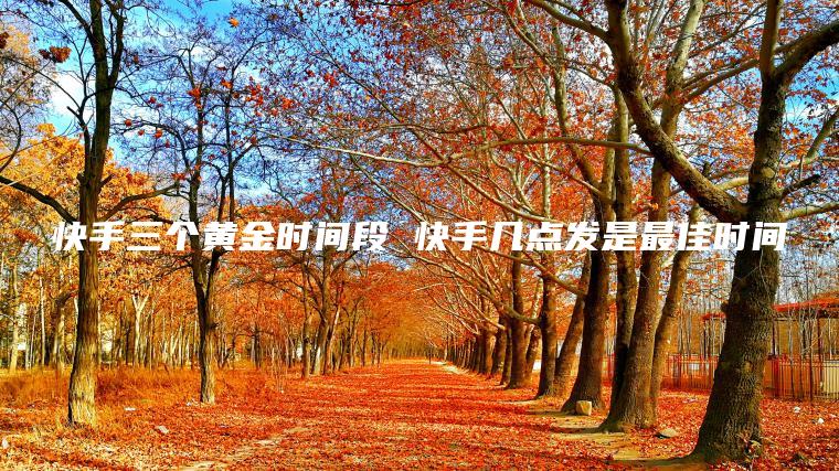 快手三个黄金时间段 快手几点发是最佳时间