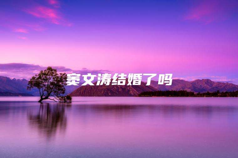 窦文涛结婚了吗