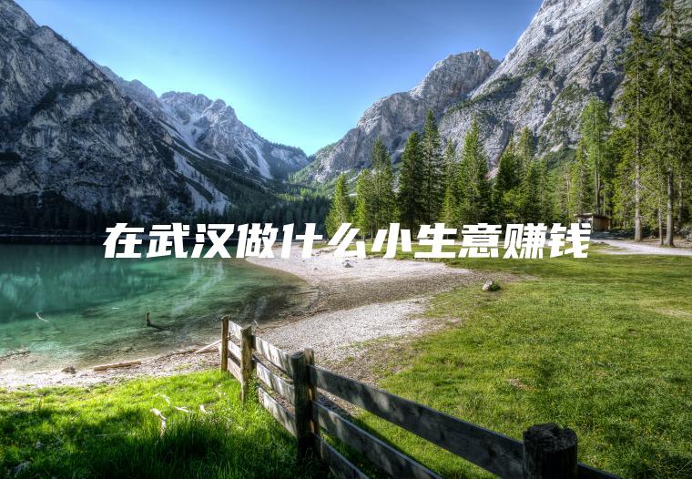 在武汉做什么小生意赚钱