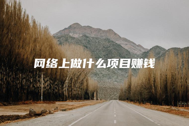 网络上做什么项目赚钱