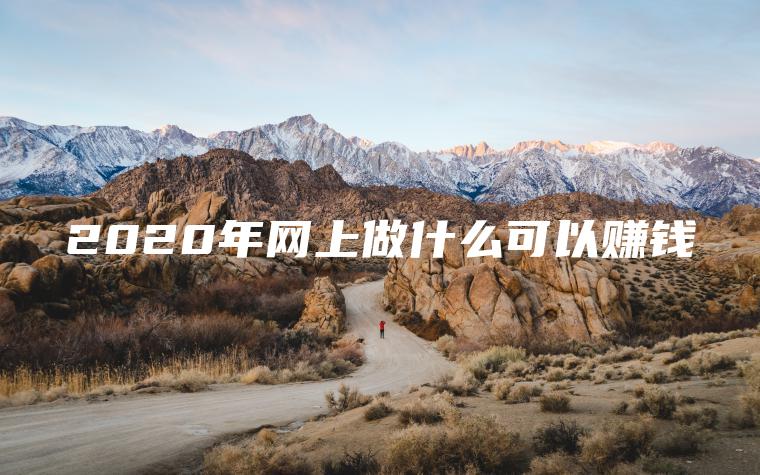 2020年网上做什么可以赚钱