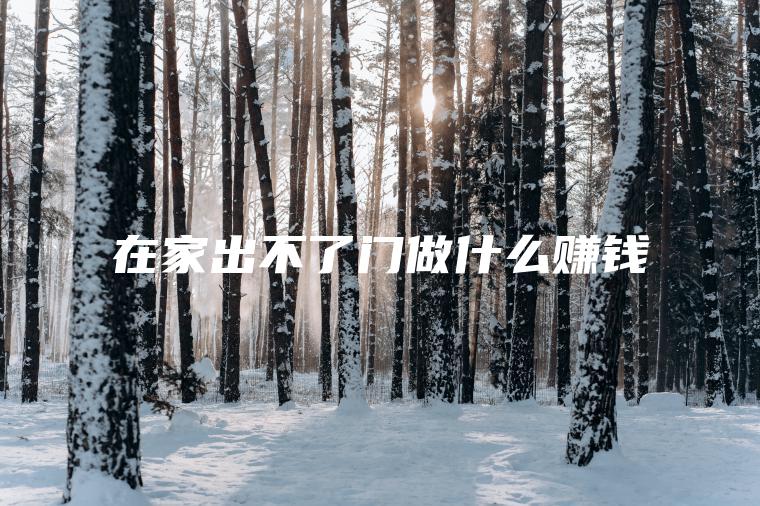 在家出不了门做什么赚钱