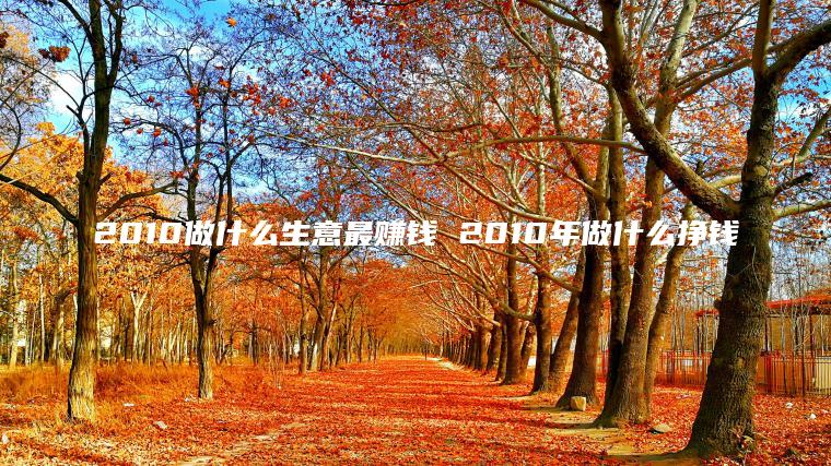 2010做什么生意最赚钱 2010年做什么挣钱