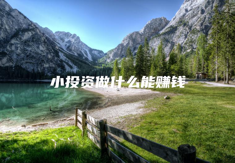小投资做什么能赚钱