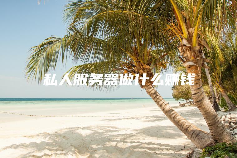 私人***做什么赚钱