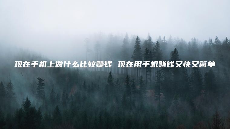 现在手机上做什么比较赚钱 现在用手机赚钱又快又简单