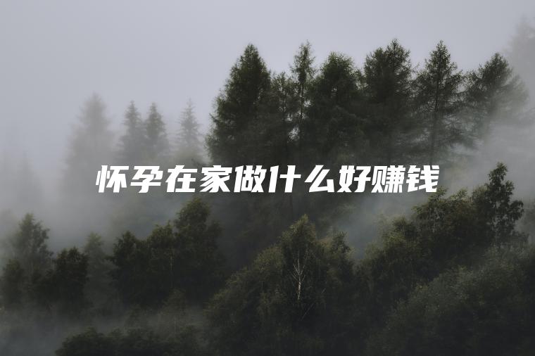 怀孕在家做什么好赚钱