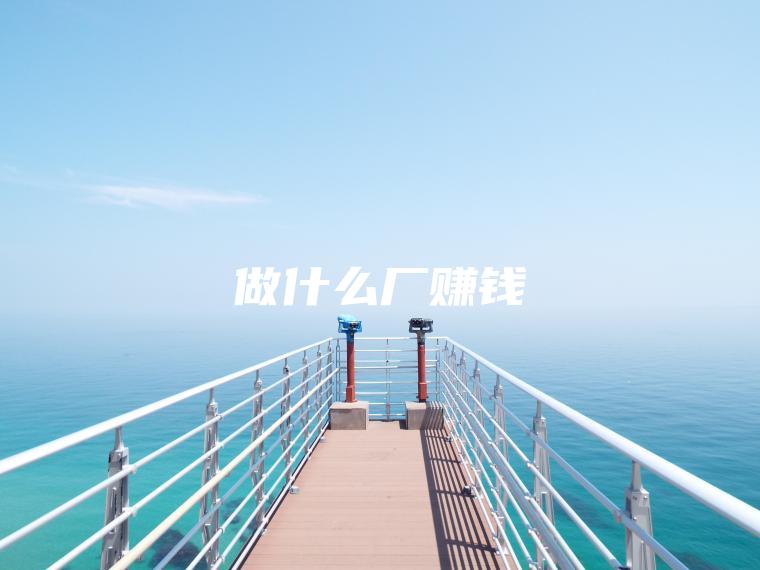 做什么厂赚钱