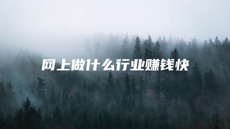 网上做什么行业赚钱快