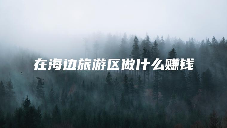 在海边旅游区做什么赚钱