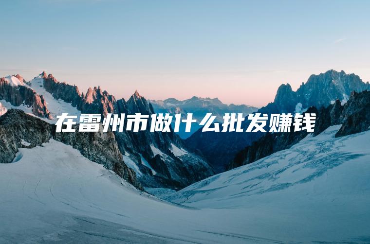 在雷州市做什么批发赚钱