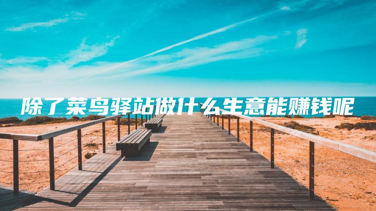除了菜鸟驿站做什么生意能赚钱呢