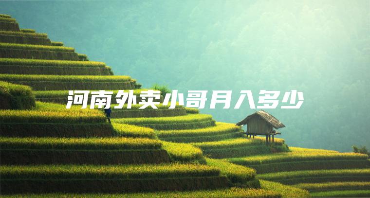 河南外卖小哥月入多少