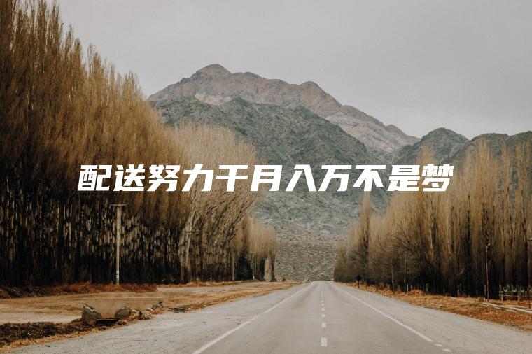 配送努力干月入万不是梦