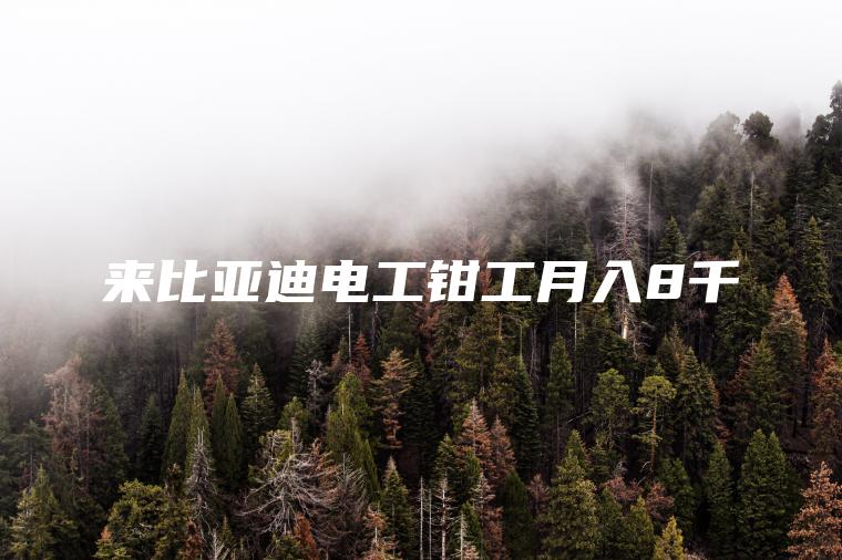 来比亚迪电工钳工月入8千