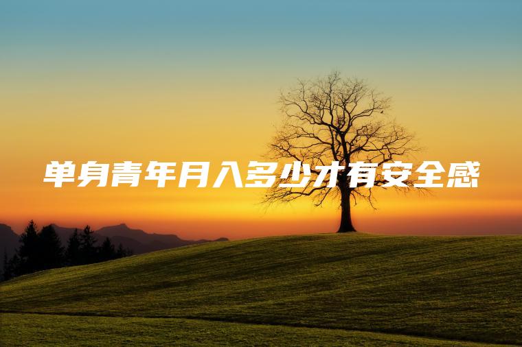 单身青年月入多少才有安全感