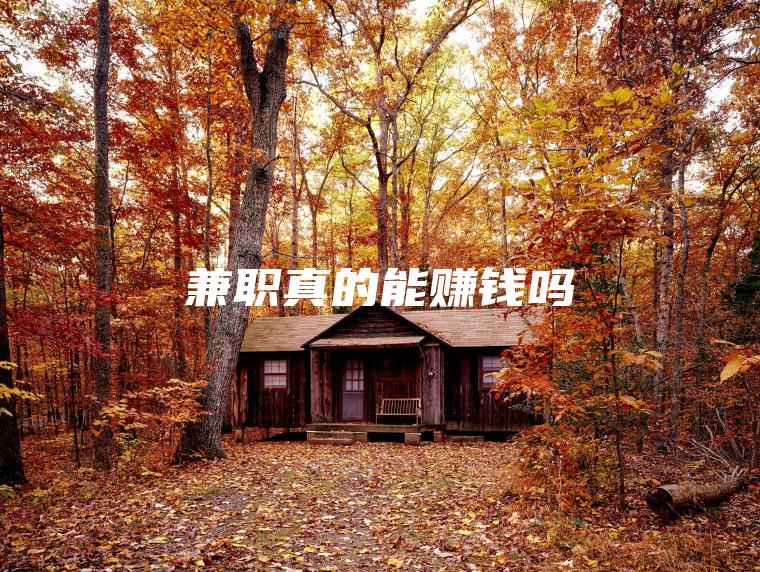 **真的能赚钱吗