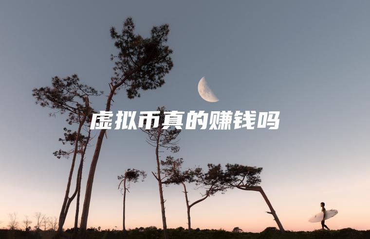虚拟币真的赚钱吗