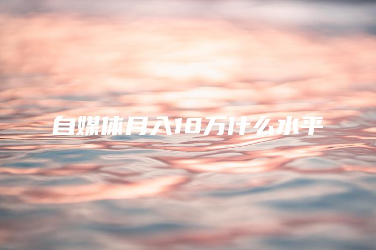 自媒体月入10万什么水平