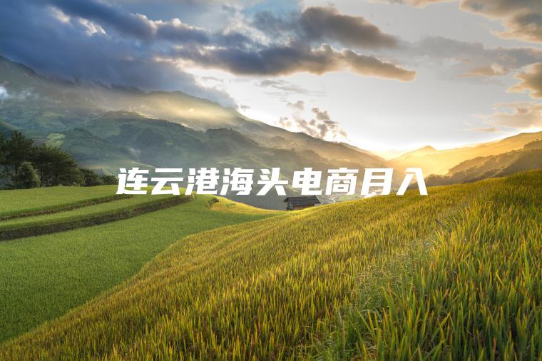 连云港海头电商月入