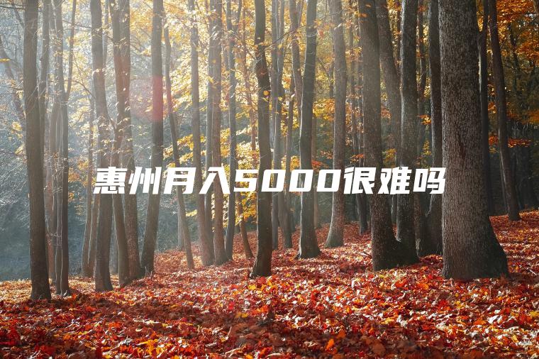 惠州月入5000很难吗