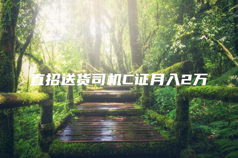 直招送货司机C证月入2万