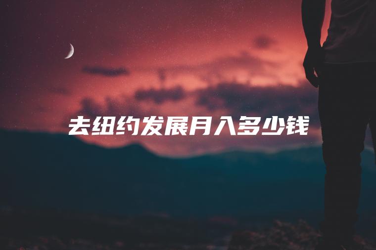 去纽约发展月入多少钱