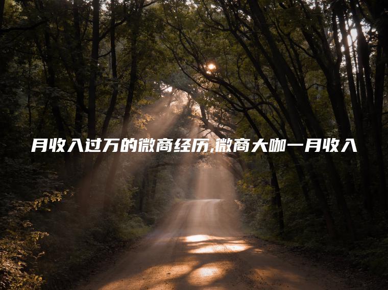 月收入过万的微商经历 微商大咖一月收入