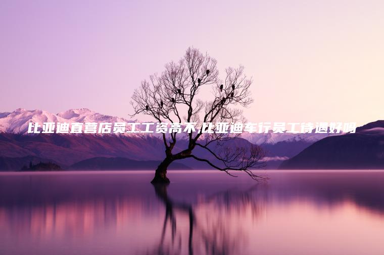 比亚迪直营店员工工资高不 比亚迪车行员工待遇好吗