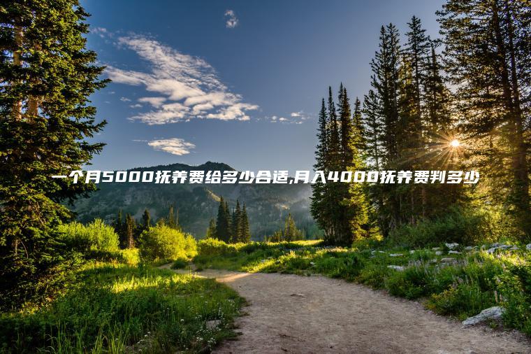 一个月5000抚养费给多少合适 月入4000抚养费判多少