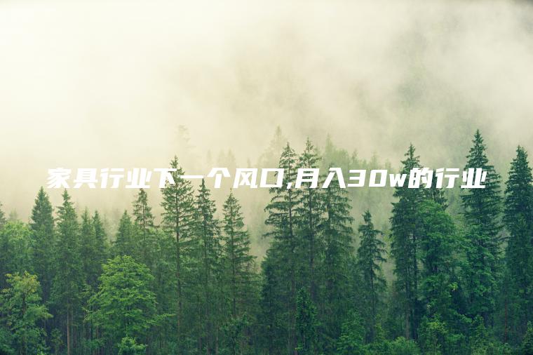 家具行业下一个风口 月入30w的行业