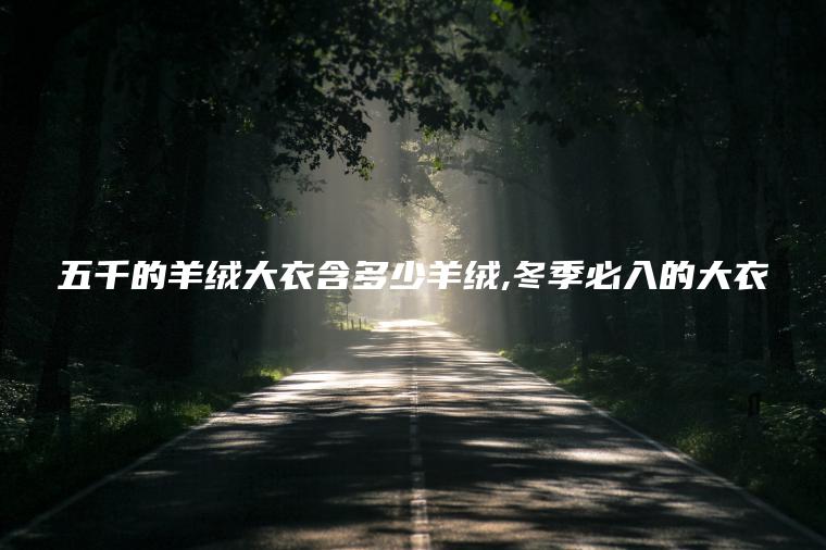 五千的羊绒大衣含多少羊绒 冬季必入的大衣