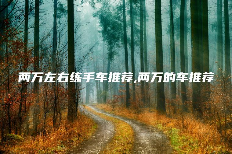 两万左右练手车推荐 两万的车推荐